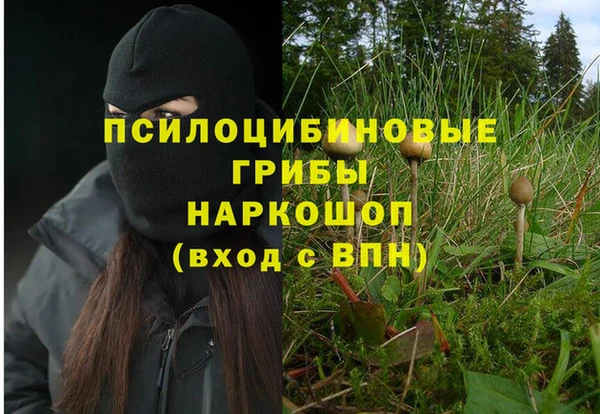 скорость Богородицк