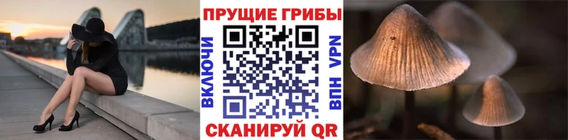 Галлюциногенные грибы Cubensis  площадка телеграм  Петропавловск-Камчатский  KRAKEN  